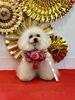 のあちゃん「Happy New Year」