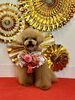 さらんちゃん「Happy New Year」