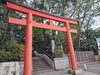 浅間神社鳥居「初詣」
