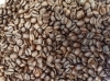 ブラジルショコラ「【厳選コーヒー豆図鑑☕ vol.1】幅広い方々に親しまれている逸品　ブラジルショコラ」