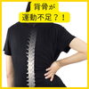 背骨が運動不足？！「その身体のだるさは背骨の運動不足？！　身体構造通りの身体使い方！」
