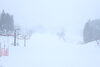 「❄️❄️❄️雪が降り始めました❄️❄️❄️」