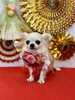 こむぎちゃん「Happy New Year」