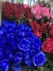 青薔薇入荷してます！「成人式に大人気❗️青い薔薇入荷しております！」