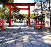 城南宮「【編集部ニュース】睦月(むつき)の京都･城下町伏見から『2025年最初の「伏見ヒストリー日記」は、城南宮（じょうなんぐう）初詣』をご紹介します‼　＠京ちゃんの伏見ヒストリー日記」