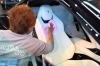 まずは丁寧にシートをクリーニング「愛車のシートを守る秘訣！プロが教えるシートコーティングの魅力【八千代でカーコーティングなら"メインストリート"にお任せ！】」