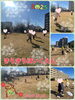 「たこ〜たこ〜あ〜がれ！！[交野市·小規模保育園]」