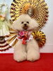 きなこちゃん「Happy New Year」