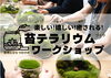 「1/19（日）阪急塚口駅前で苔テラリウムの体験ワークショップ行ないます」