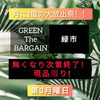 緑市「【GREENTheBARGAIN緑市はじめました！福島市観葉植物専門店greenfeel】」