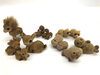 CENTEX　アニマルフィギュア「【豊平区】CENTEXのフィギュア買い取ります🦝🦛🐎【おたからや西岡札大前】大事なコレクションだからこそ 少しでも高く、好きな人のもとへ。」