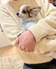 ナッツ入居当日「我が家のニューフェイス！」