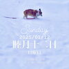「Sunday, 12th January 2025.」