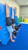 倒立「🤸‍♀🤸‍♂ 倒立の練習 🤸‍♂　★英会話と体操のコラボ教室（堀切、お花茶屋、綾瀬、亀有、小菅）」