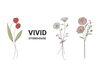 「冬休みありがとうございました！営業再開です！　VIVIDストアハウス　切花　観葉植物　松島　新小岩」