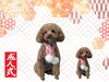 「Dog salon mofu mofu　余市町」