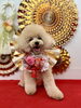 すいちゃん「Happy New Year」