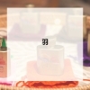 💐羽💐「💐羽💐」