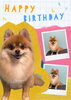 「Dog salon mofu mofu　余市町」