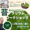 バナー「1/24（金）川西で苔テラリウムワークショップ開催します！」
