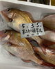 「本日鮮魚入荷してまーす」