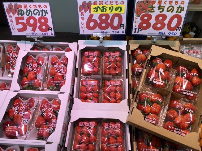 いちご 色々取り揃えております🍓「🍓イチゴ🍓 色々取り揃えております😄」