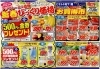 「1月17日（金）～1月18日（土）　チラシ」