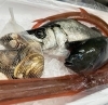 「今年もビカビカなお魚さん尾鷲から届いてます！」