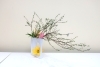 生徒様の作品です「【銀座　いけばな教室】春の花をいけました🌸」