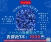 「【泉佐野市、貝塚市、熊取町】の方で青薔薇、ブルーローズの花束をプレゼントしたい方にオススメの花屋りっちゅ情報」