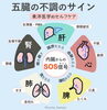 経絡は五臓六腑とつながりがある。「冬から春へ経絡ヨガで身体をメンテナンスしよう」