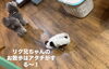 「お散歩ごっこ💛」