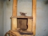 巣箱の裏から顔を出すロシア♂「キーパー飼育日記　ショウガラゴの展示]」