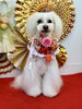 理玖くん「Happy New Year」