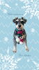 「Dog salon mofu mofu　余市町」