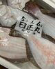 「冷凍では塩引き鮭の切り身、鮭の味噌漬け、干物など販売中です‼️」