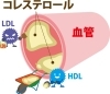 悪玉コレステロールを減らして健康的な生活を！「滋賀県草津市で悪玉コレステロールを減らす方法｜健康的な7つの生活習慣」