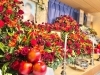 真っ赤な花祭壇「真っ赤な花祭壇」