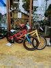 16インチ(適正身長96㎝～)「子ども用自転車(ヨツバサイクル、RITEWAY)」