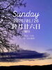 「Sunday, 26th January 2025.」