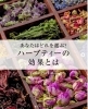 「【あなたはどれを選ぶ？ハーブティーの効果とは 🌿☕】」