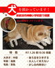 「迷い犬を保護しています【新居浜市神郷小学校付近】」