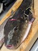 「天然もの❗【魚も酒も自ら厳選する瑞江の小料理屋】」
