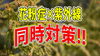 花粉×紫外線 同時対策「°˖✧花粉症×紫外線　同時に対策できます！✧˖° 青梅の美容室　はだかの王様河辺店」