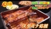 「2月2日(日)の南海放送 「もぎたてテレビ」に『関東風鰻専門店 うな一』さんの情報が紹介されます！」