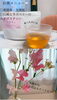 今週のお茶とお花💐「リラックス空間でほっと一息👐癒しの時間🎶 美軸・数霊術カウンセリングも好評！脳波と骨格を整え睡眠の質を上げるOTEIRE 【札幌北区篠路プライベートサロン　Te-tora】」