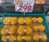 はっさく🍊「ほどよい酸味とさっぱりした甘み😄　はっさくのご紹介です✨✨」