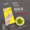 販売始まりました！季節限定鹿児島茶『福寿草』