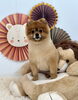 トムくん「キュートライオン」