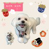 「Dog salon mofu mofu　余市町」